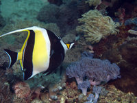 Ernies Cave [ 8 images ]